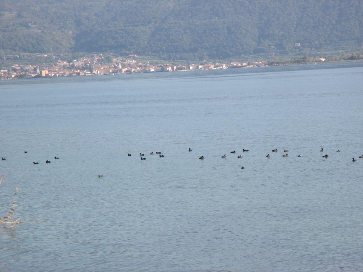 B&B Sarnico Lago D'Iseo Exterior foto